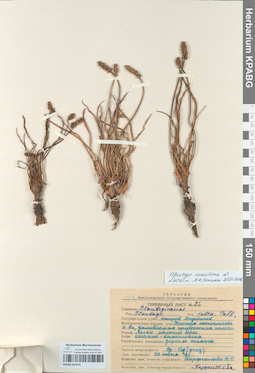 KPABG051474