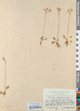 KPABG051482