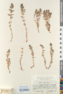 KPABG051488
