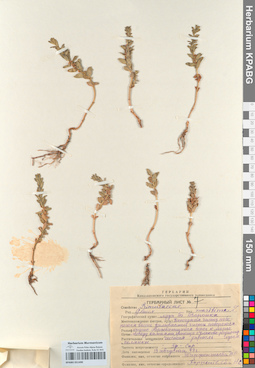 KPABG051490