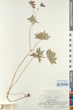 KPABG051492