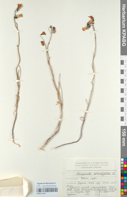 KPABG051496