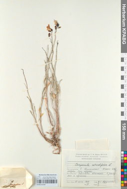 KPABG051497