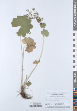 KPABG051671