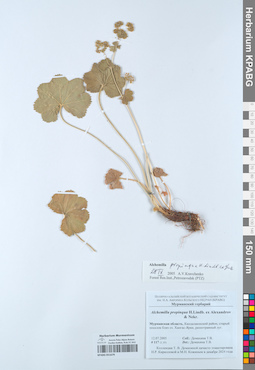 KPABG051679
