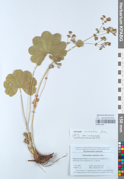 KPABG051690