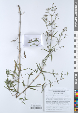 KPABG051692