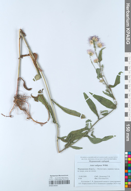 KPABG051811