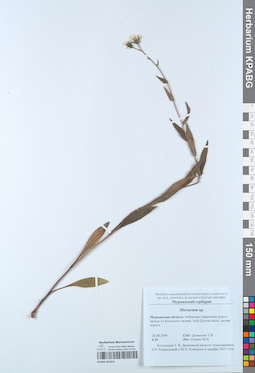 KPABG051819