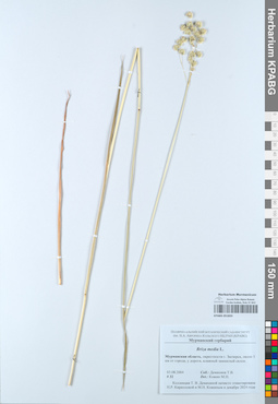 KPABG051833