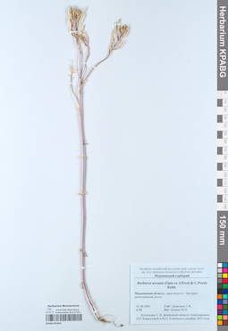 KPABG051835