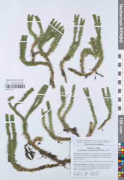 KPABG051574