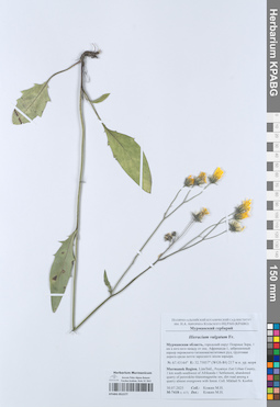 KPABG051577