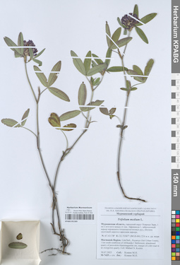KPABG051583