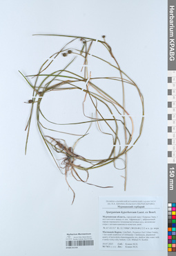 KPABG051592