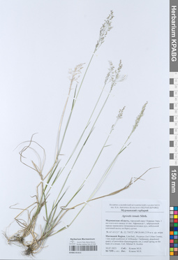 KPABG051612