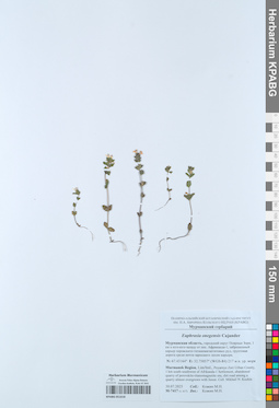 KPABG051618