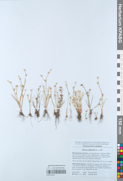 KPABG051621