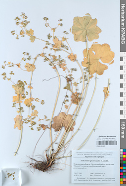 KPABG051629