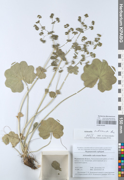 KPABG051643