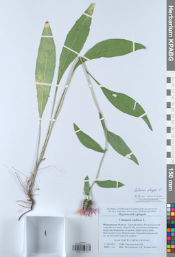 KPABG048475
