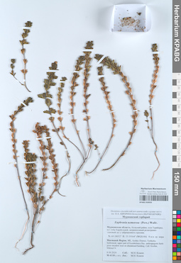 KPABG050920