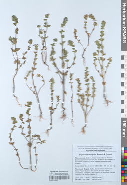 KPABG050922