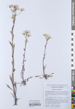 KPABG050931