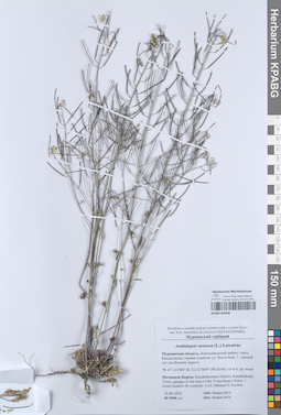 KPABG050936