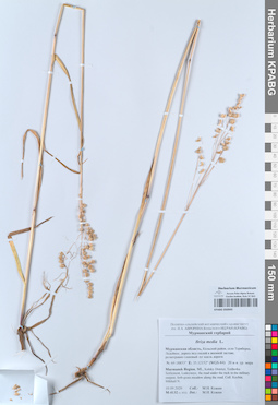 KPABG050945