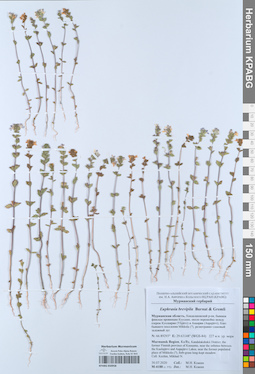 KPABG050958