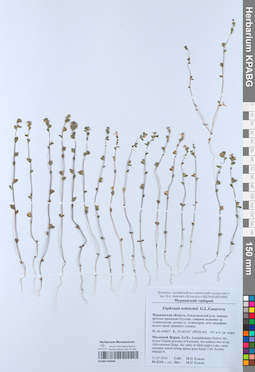 KPABG050960