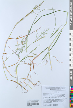 KPABG050961