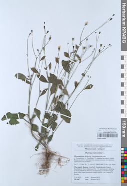 KPABG050969