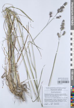 KPABG050970