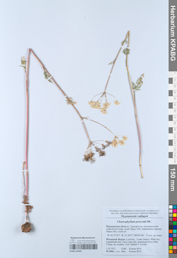 KPABG050984