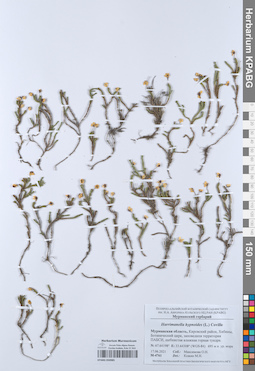 KPABG050985