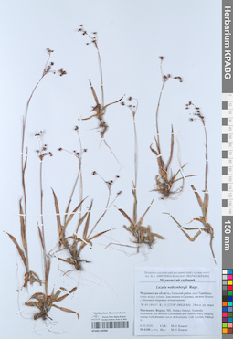 KPABG050986