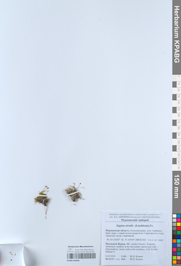 KPABG050996
