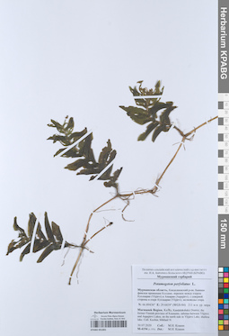 KPABG051001