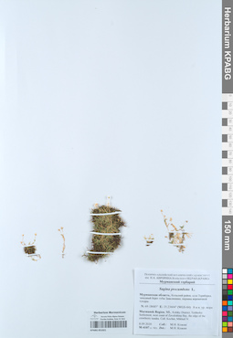 KPABG051021