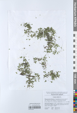 KPABG051029