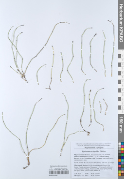 KPABG051030