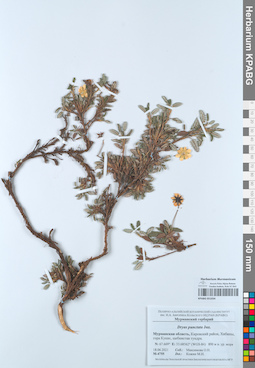 KPABG051034