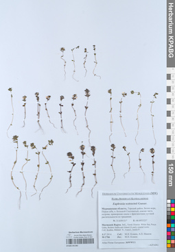 KPABG051381