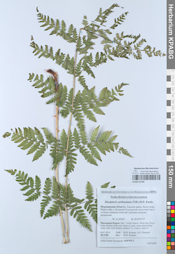 KPABG051386