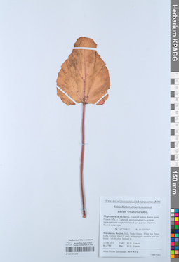 KPABG051389