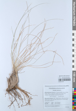 KPABG051390