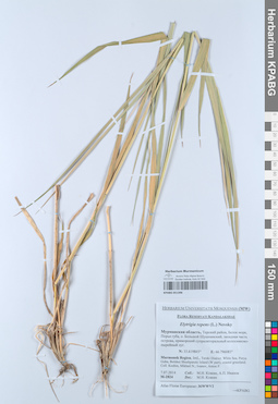 KPABG051396
