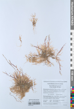 KPABG051406